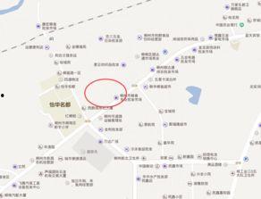 柳州爆料热点新闻最新消息,惊现神秘事件，真相令人震惊！